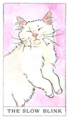 Kitten Oracle: 50 Cards & Guidebook