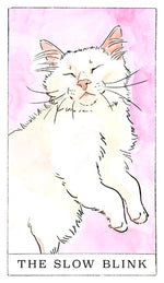 Kitten Oracle: 50 Cards & Guidebook
