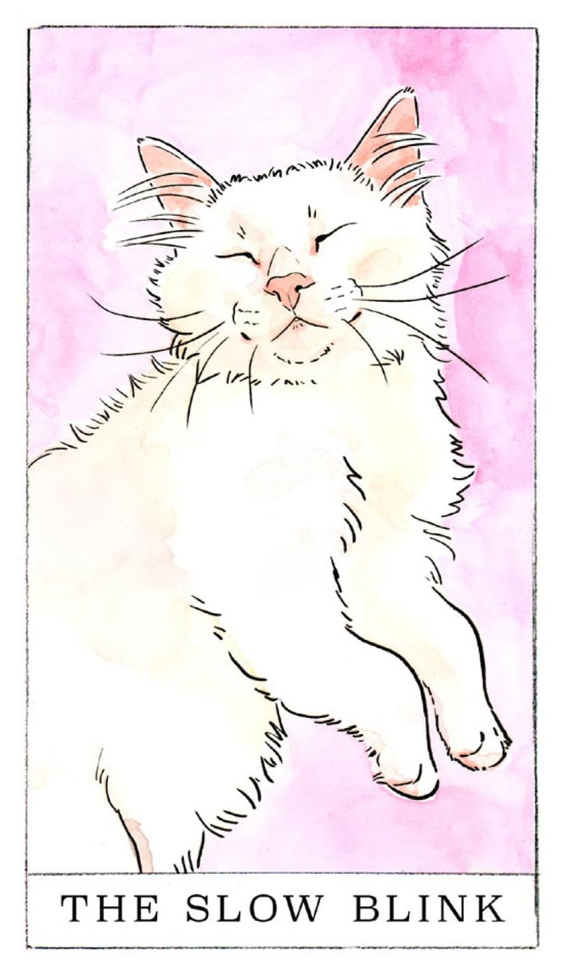 Kitten Oracle: 50 Cards & Guidebook