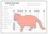Cat Operator's Manual