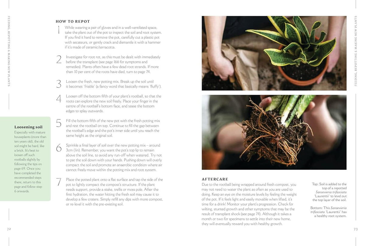How to Make Your Houseplants Love You
