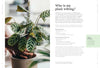 How to Make Your Houseplants Love You