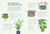 How to Make Your Houseplants Love You