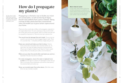 How to Make Your Houseplants Love You