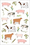 Farm Anatomy Sticker Book