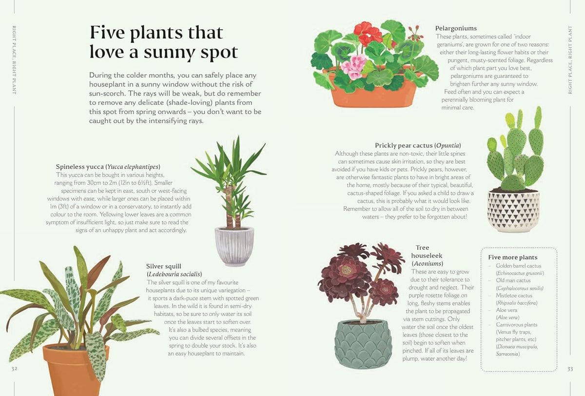 How to Make Your Houseplants Love You
