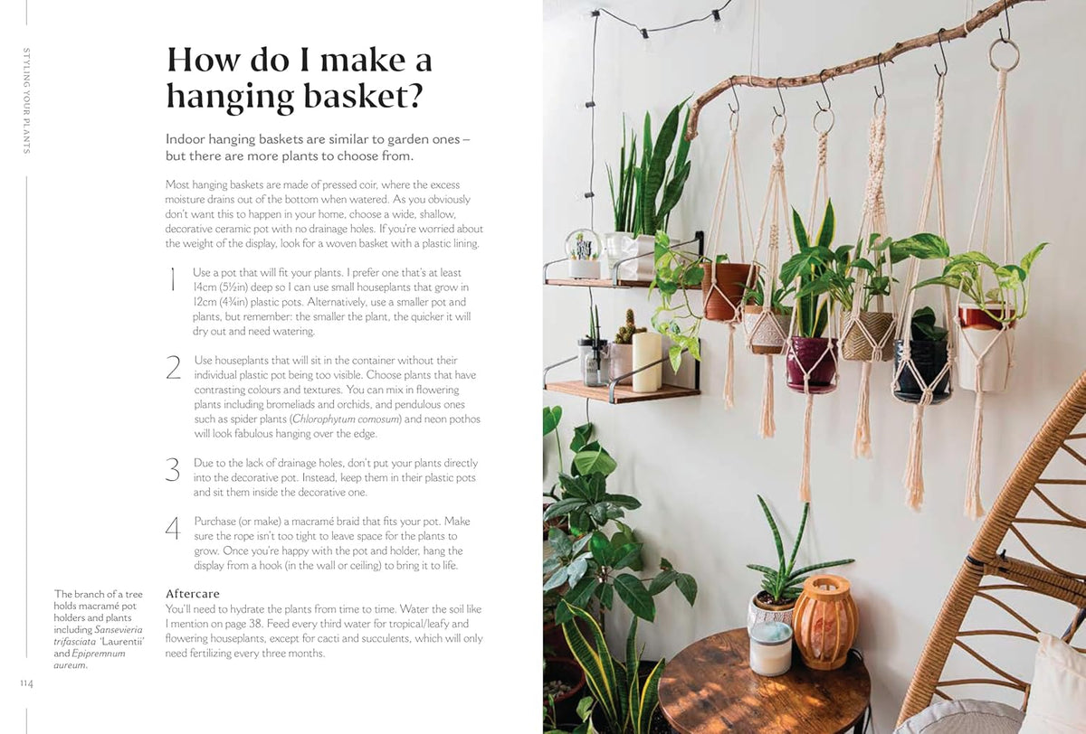 How to Make Your Houseplants Love You