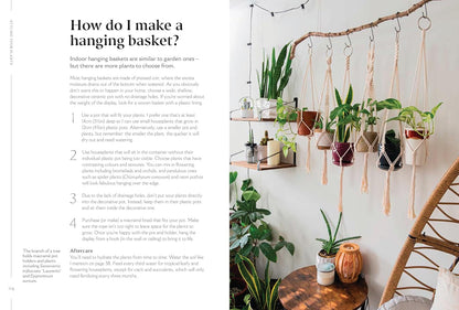 How to Make Your Houseplants Love You