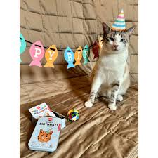 Kiko Cat Happy Birthday Kit