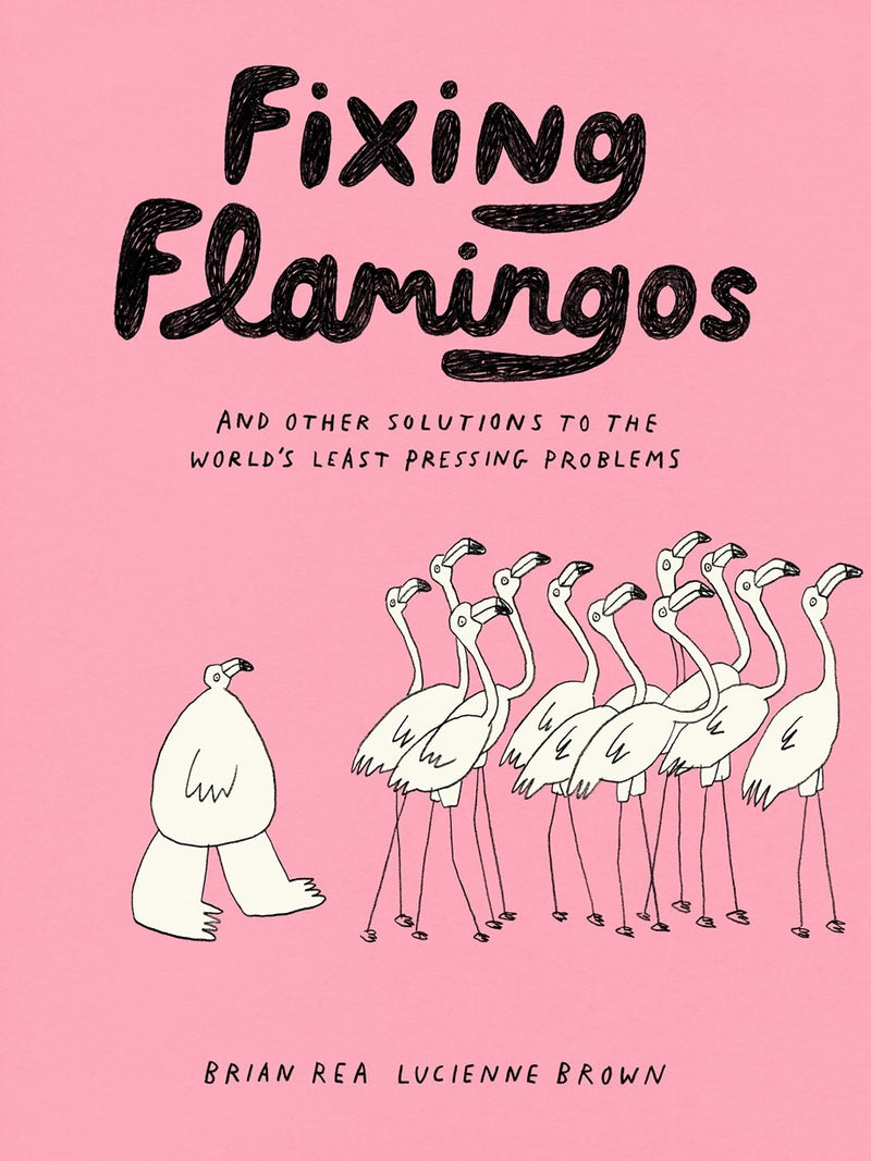 Fixing Flamingos