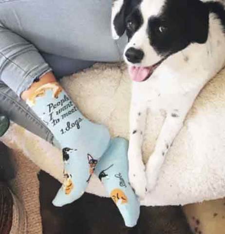 People I Want To Meet: Dogs Women's Socks