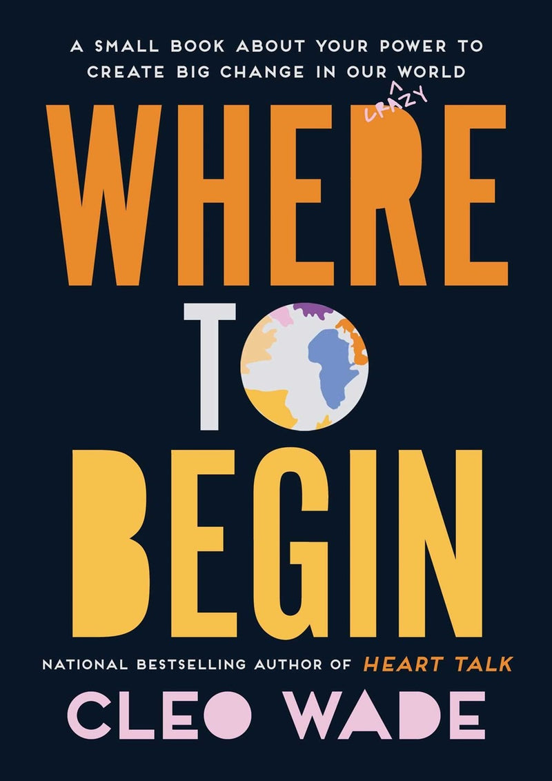 Where to Begin : A Small Book About Your Power to Create Big Change in Our Crazy World