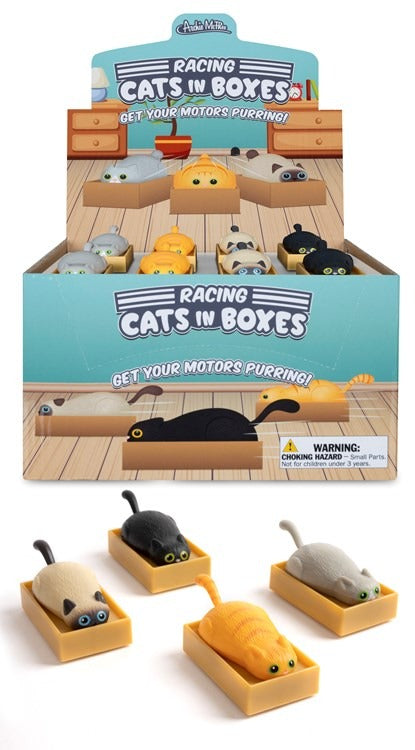 Racing Cat in a Box